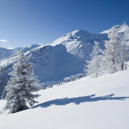 Bergheim Zillertal - A18506 Apartamento Fuegenberg